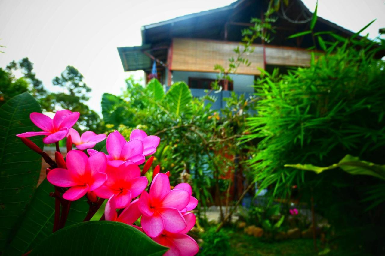 Sumatra Orangutan Discovery Villa Bukit Lawang Exterior photo