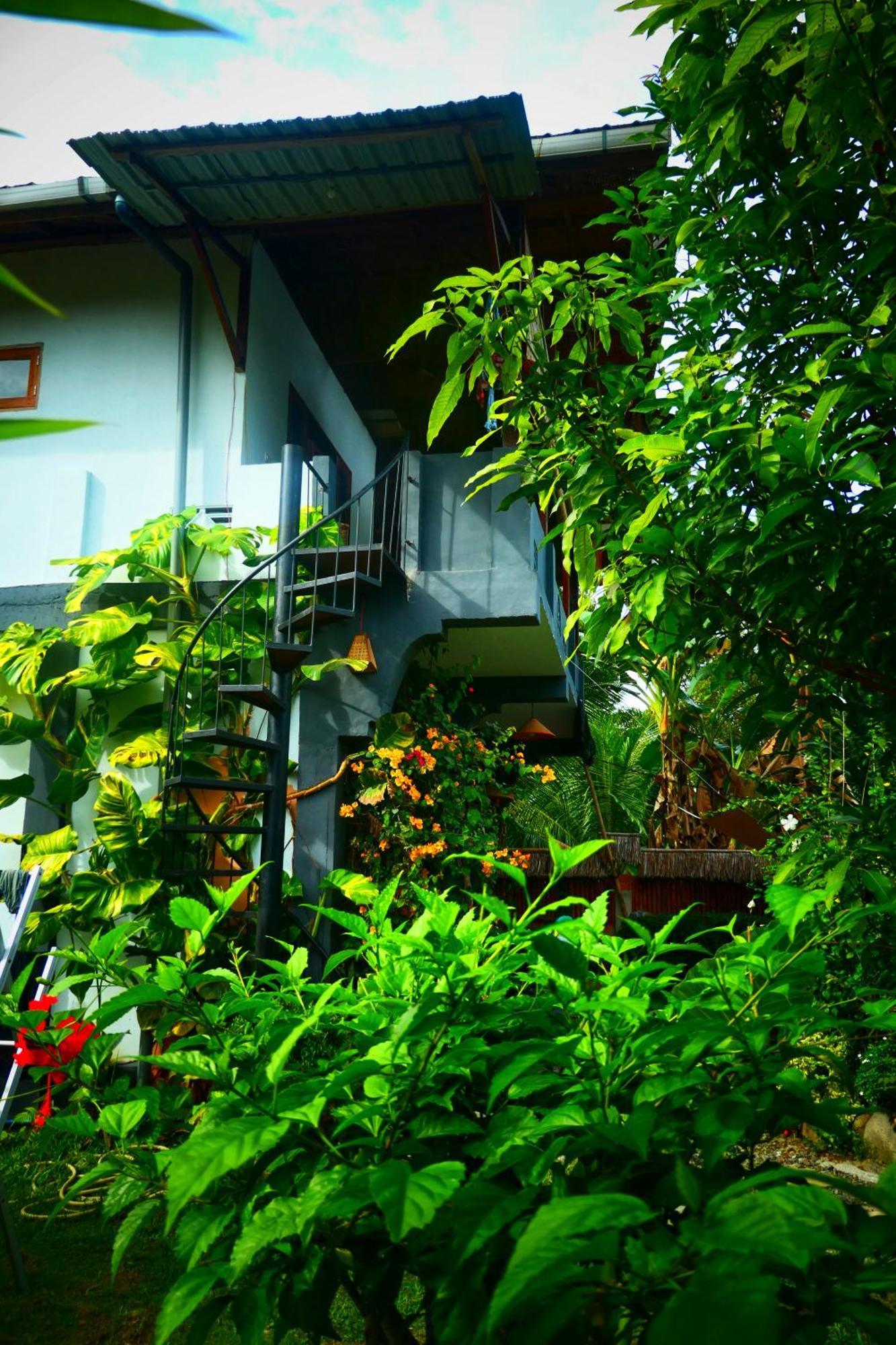 Sumatra Orangutan Discovery Villa Bukit Lawang Room photo